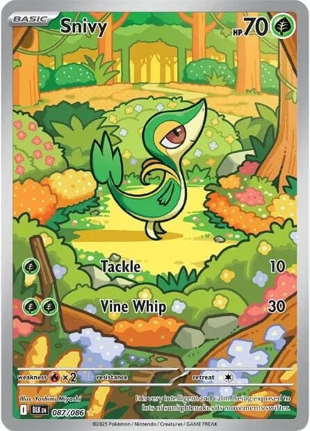 Snivy Black Bolt 87 Pokémon card
