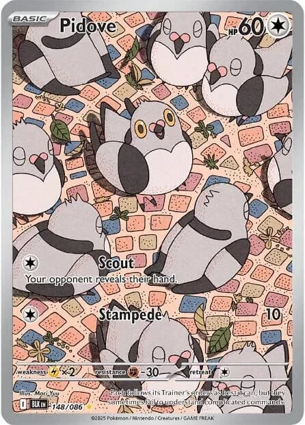 Pidove Black Bolt 148 Pokémon card