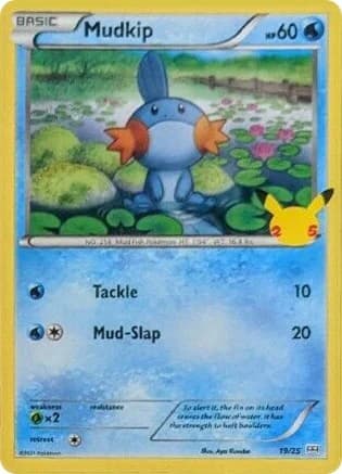 Mudkip [Holo] McDonalds 2021 19 Pokémon card