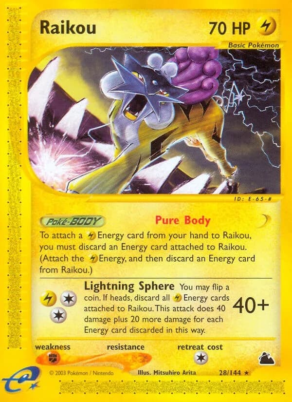 Raikou Skyridge 28 Pokémon card